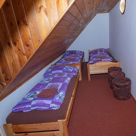 Penzion Harry Na Sjezdovce Krkonose Vysoké nad Jizerou 外观 照片