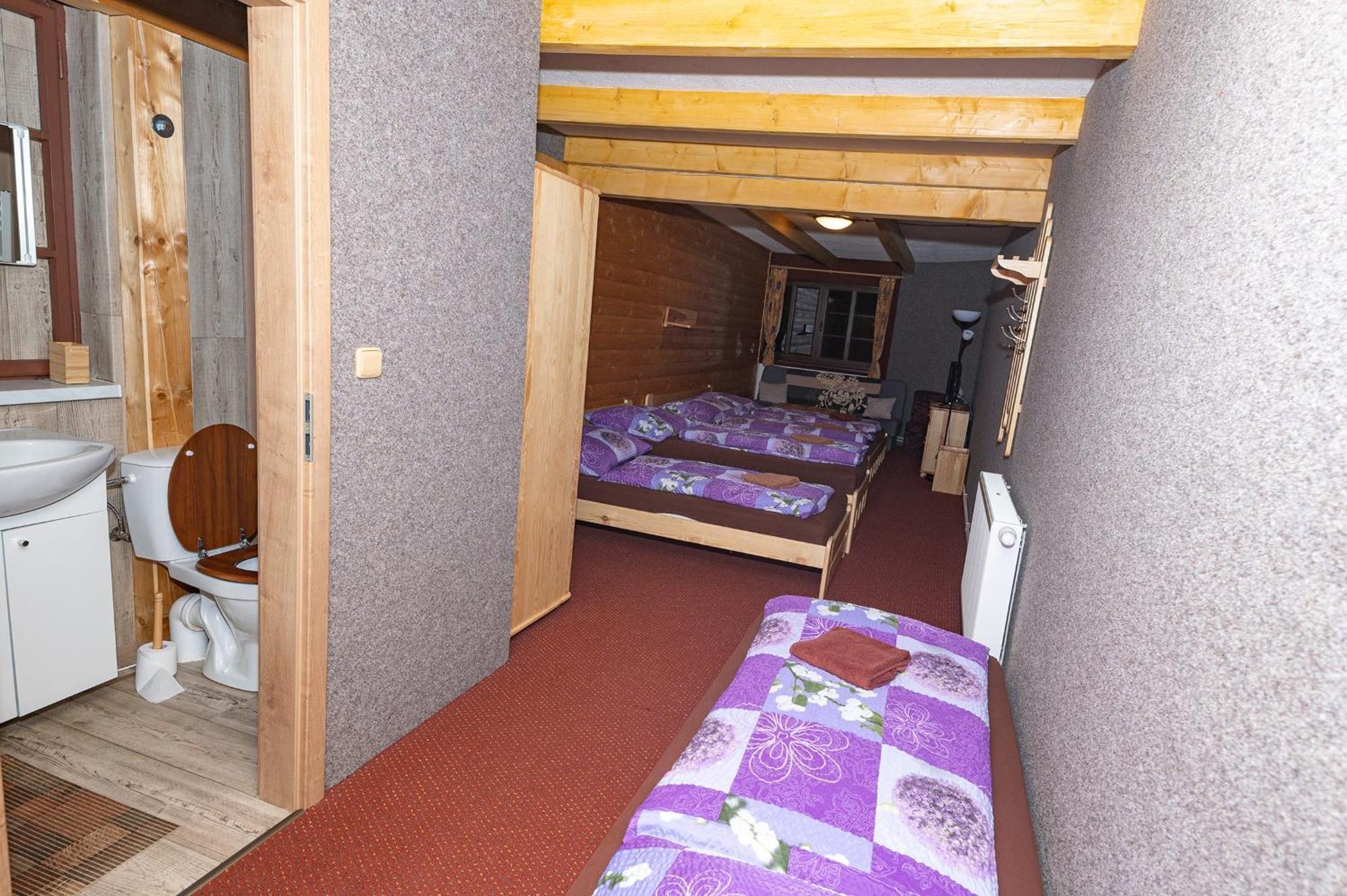 Penzion Harry Na Sjezdovce Krkonose Vysoké nad Jizerou 外观 照片