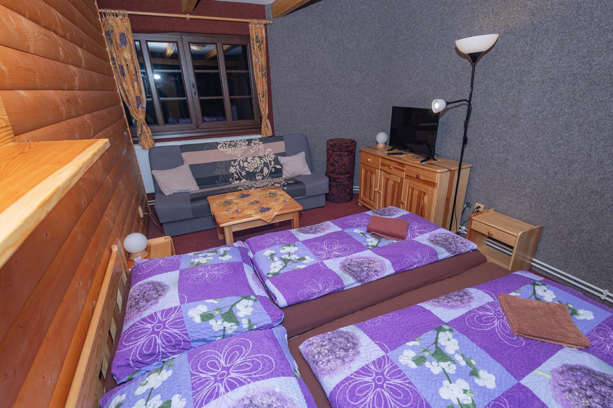 Penzion Harry Na Sjezdovce Krkonose Vysoké nad Jizerou 外观 照片