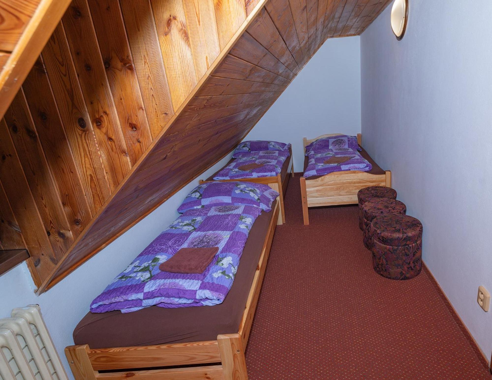Penzion Harry Na Sjezdovce Krkonose Vysoké nad Jizerou 外观 照片