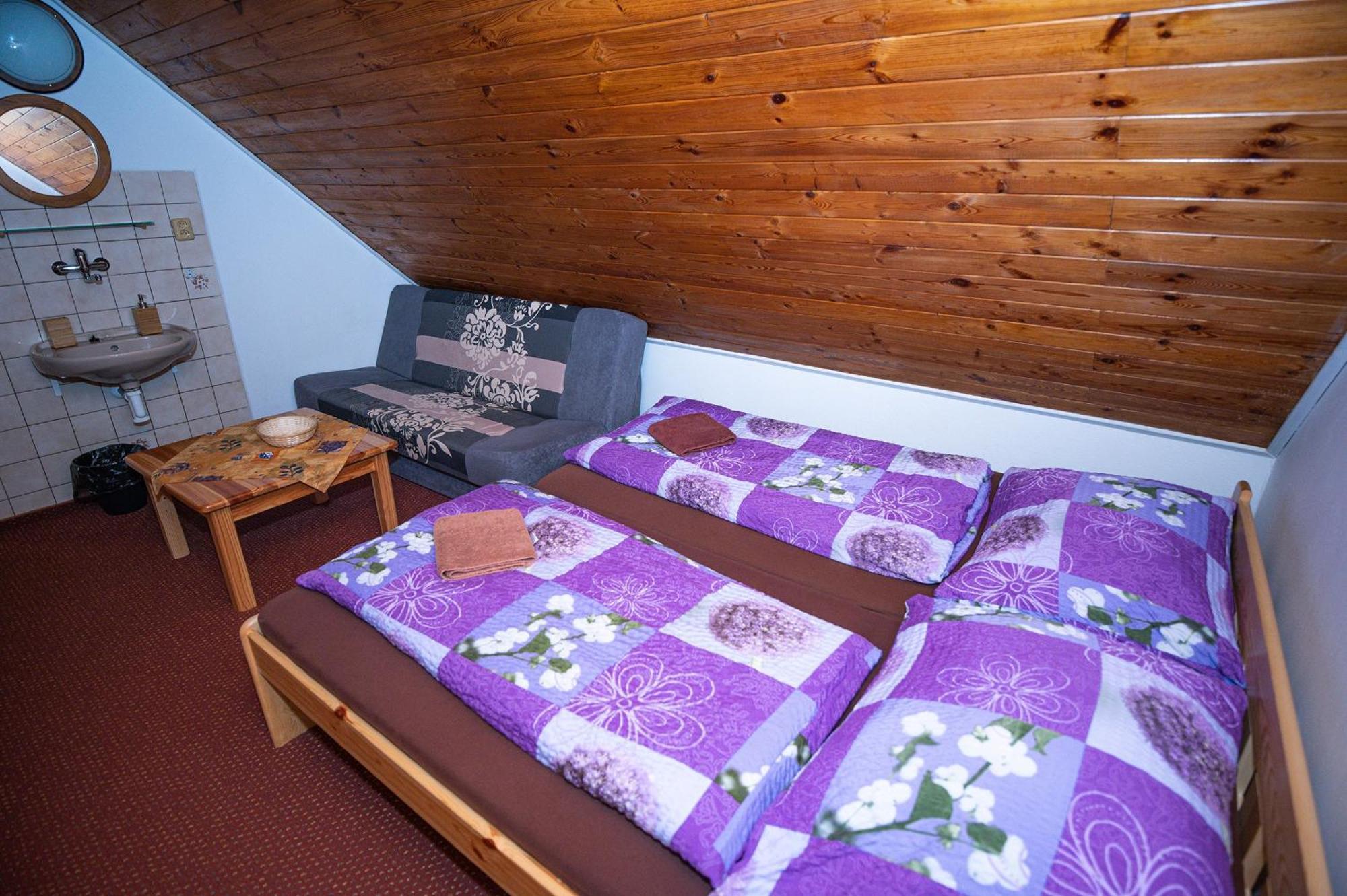 Penzion Harry Na Sjezdovce Krkonose Vysoké nad Jizerou 外观 照片