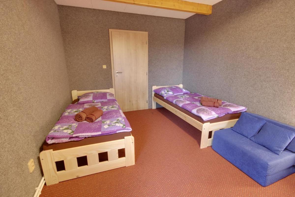 Penzion Harry Na Sjezdovce Krkonose Vysoké nad Jizerou 外观 照片